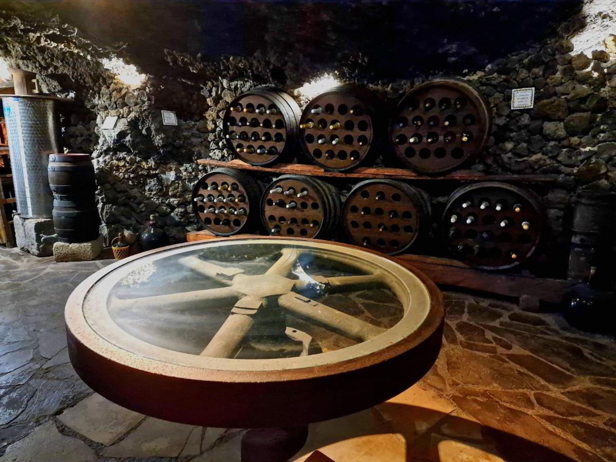 Finca Los Loros Icod De Los Vinos By Hrtenerife Net Санта-Крус-де-Тенерифе Экстерьер фото