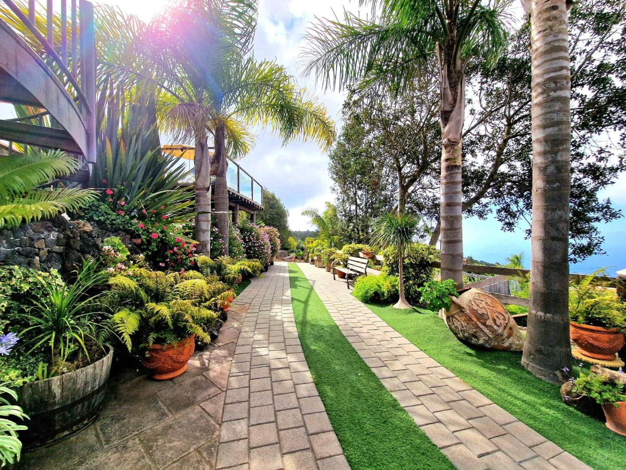 Finca Los Loros Icod De Los Vinos By Hrtenerife Net Санта-Крус-де-Тенерифе Экстерьер фото